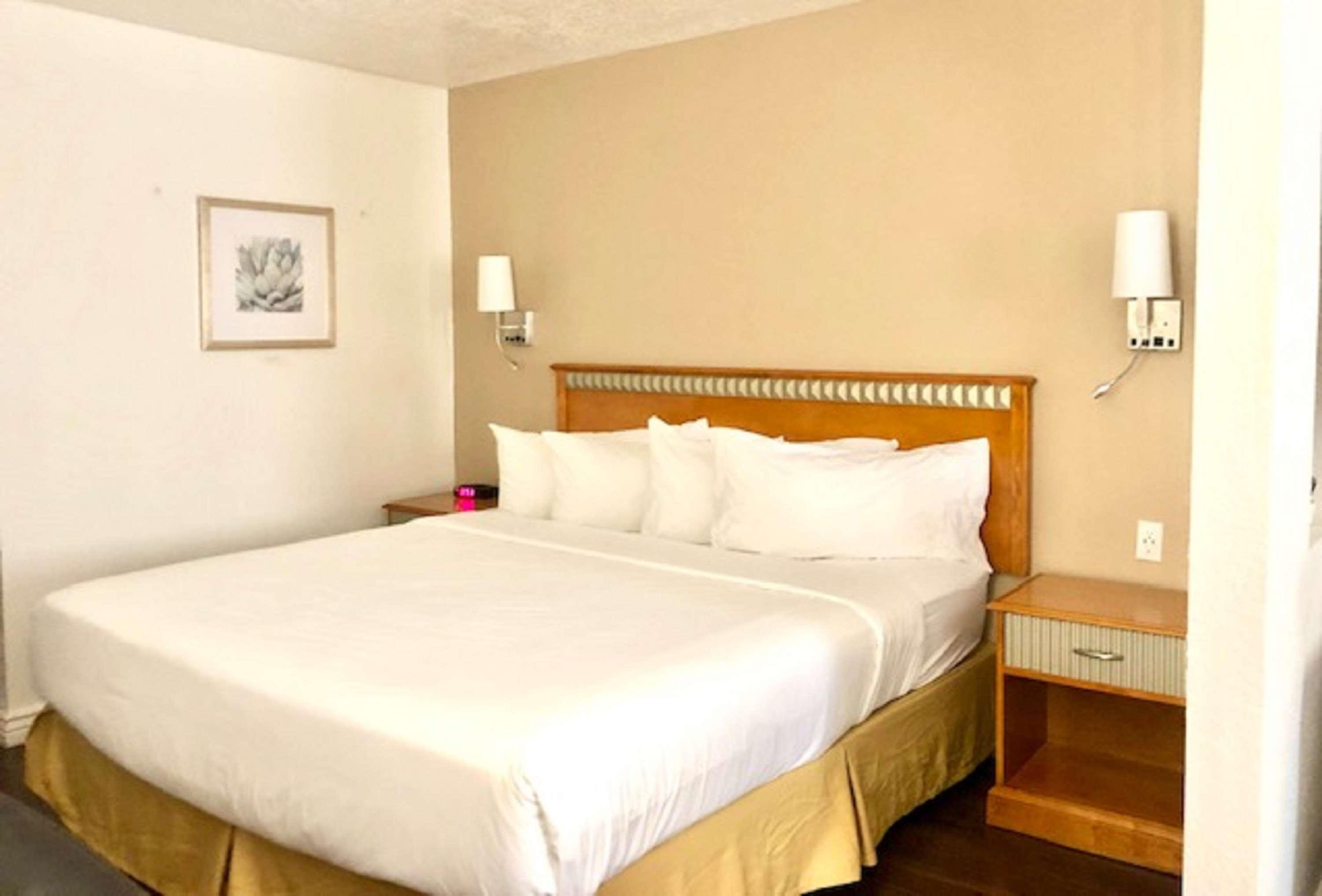 Surestay Plus Hotel By Best Western Albuquerque I-40 Eubank Zewnętrze zdjęcie