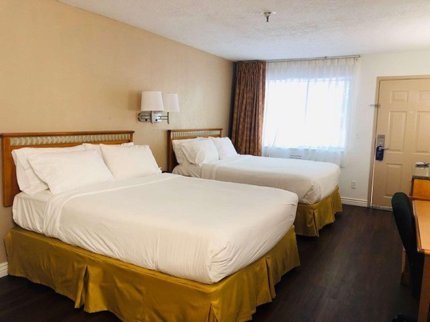 Surestay Plus Hotel By Best Western Albuquerque I-40 Eubank Zewnętrze zdjęcie